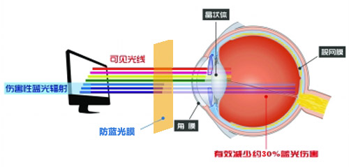 向日葵视频色版下载最新科技成果 向日葵视频污版下载成护眼利器 向日葵视频色版下载最新科技成果 向日葵视频污版下载成护眼利器